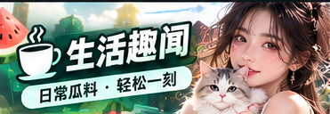 城市和网络文化观察